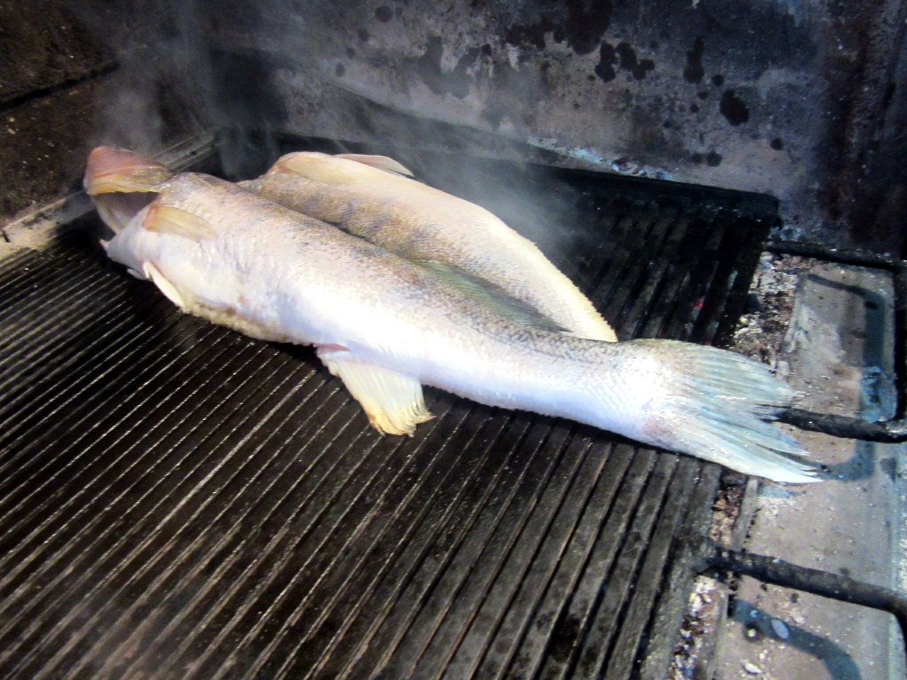 Riba na roštilju